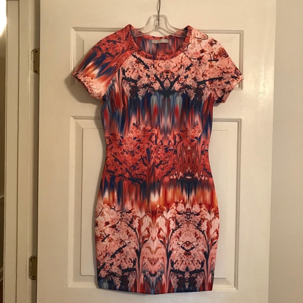 Zara Dress